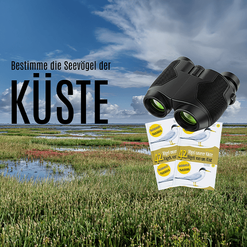 Urlaubsfoto