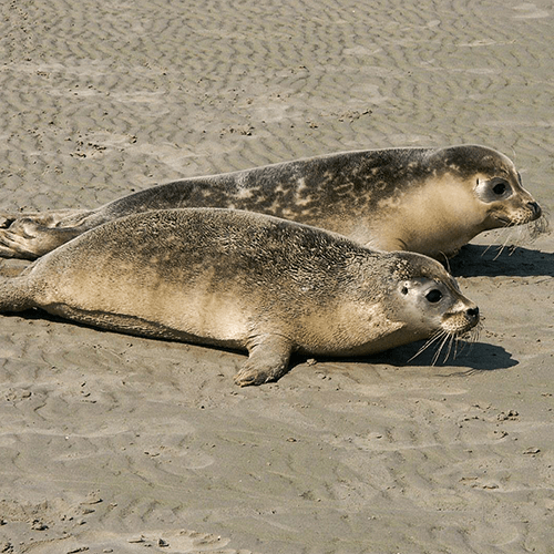Urlaubsfoto