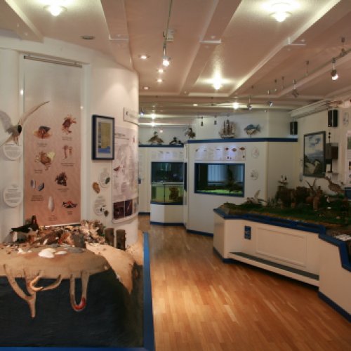 Nordseehaus ausstellungen0014