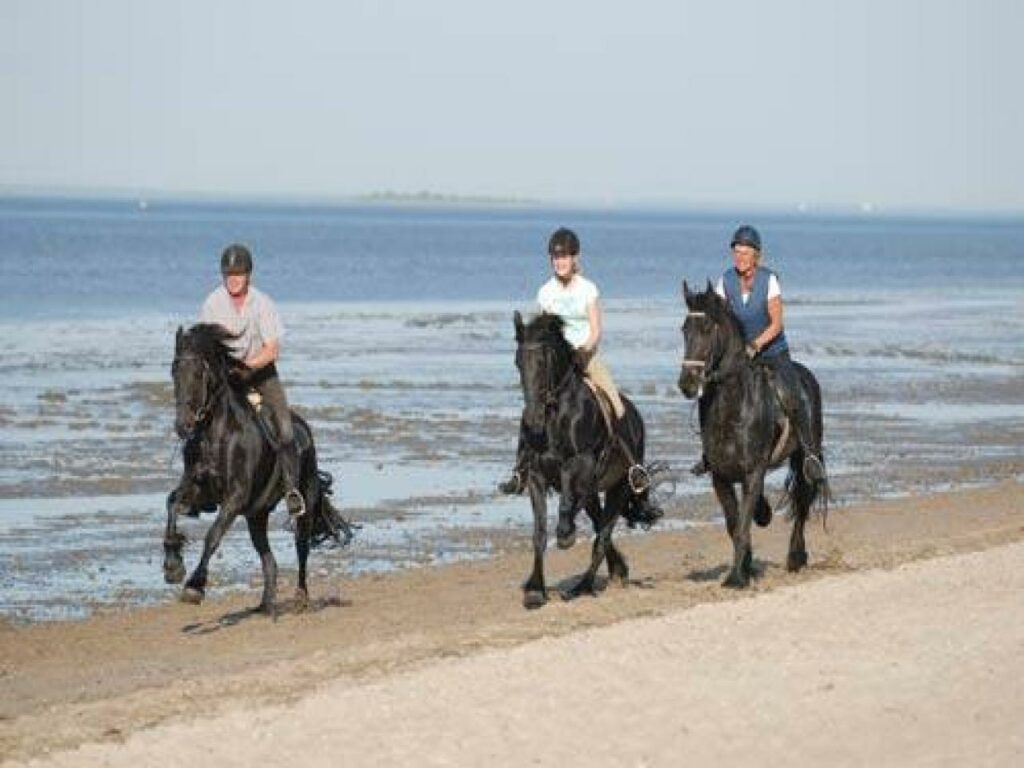 Famihotel Frieslandstern