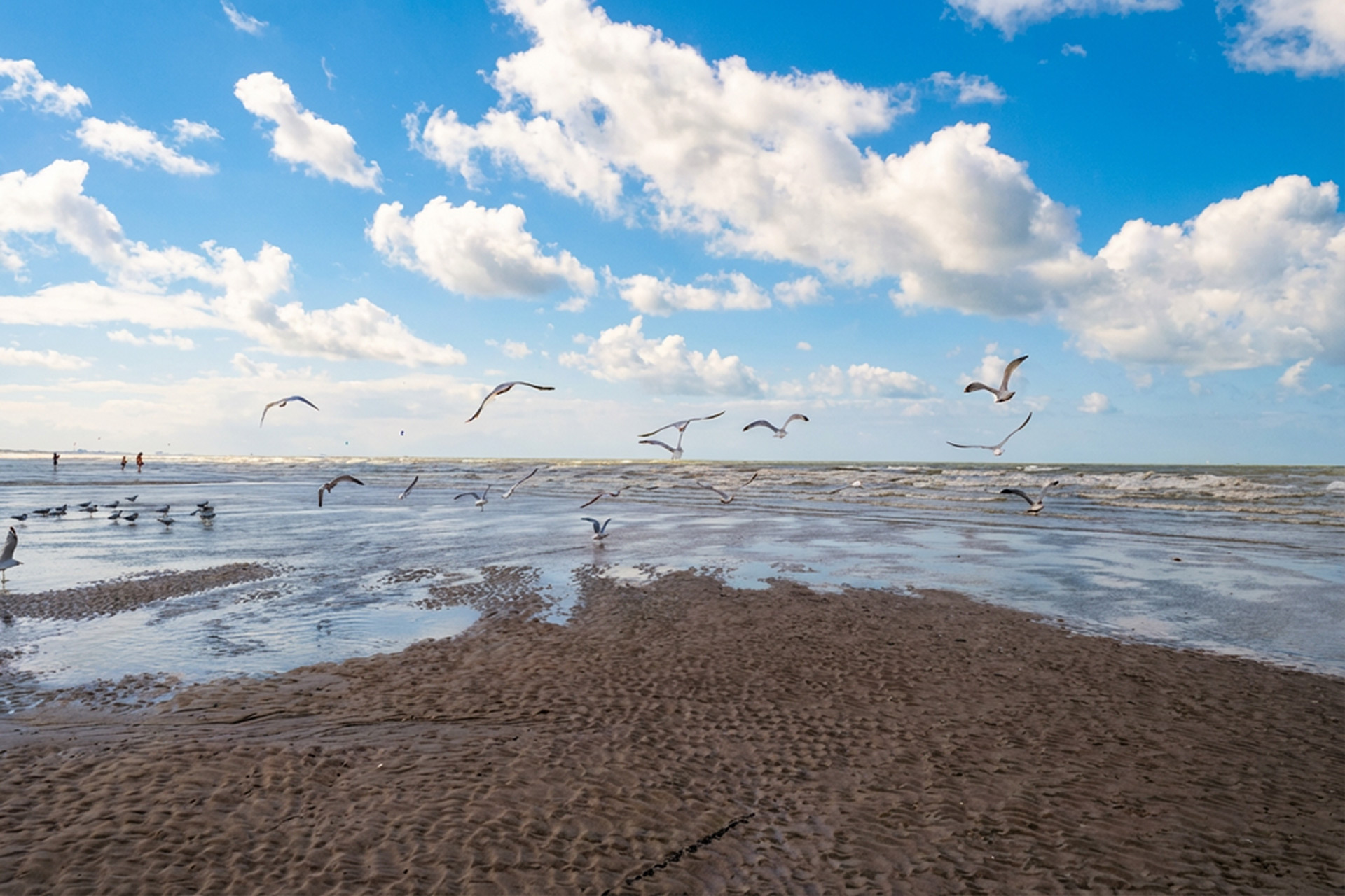 Weltnaturerbe Wattenmeer